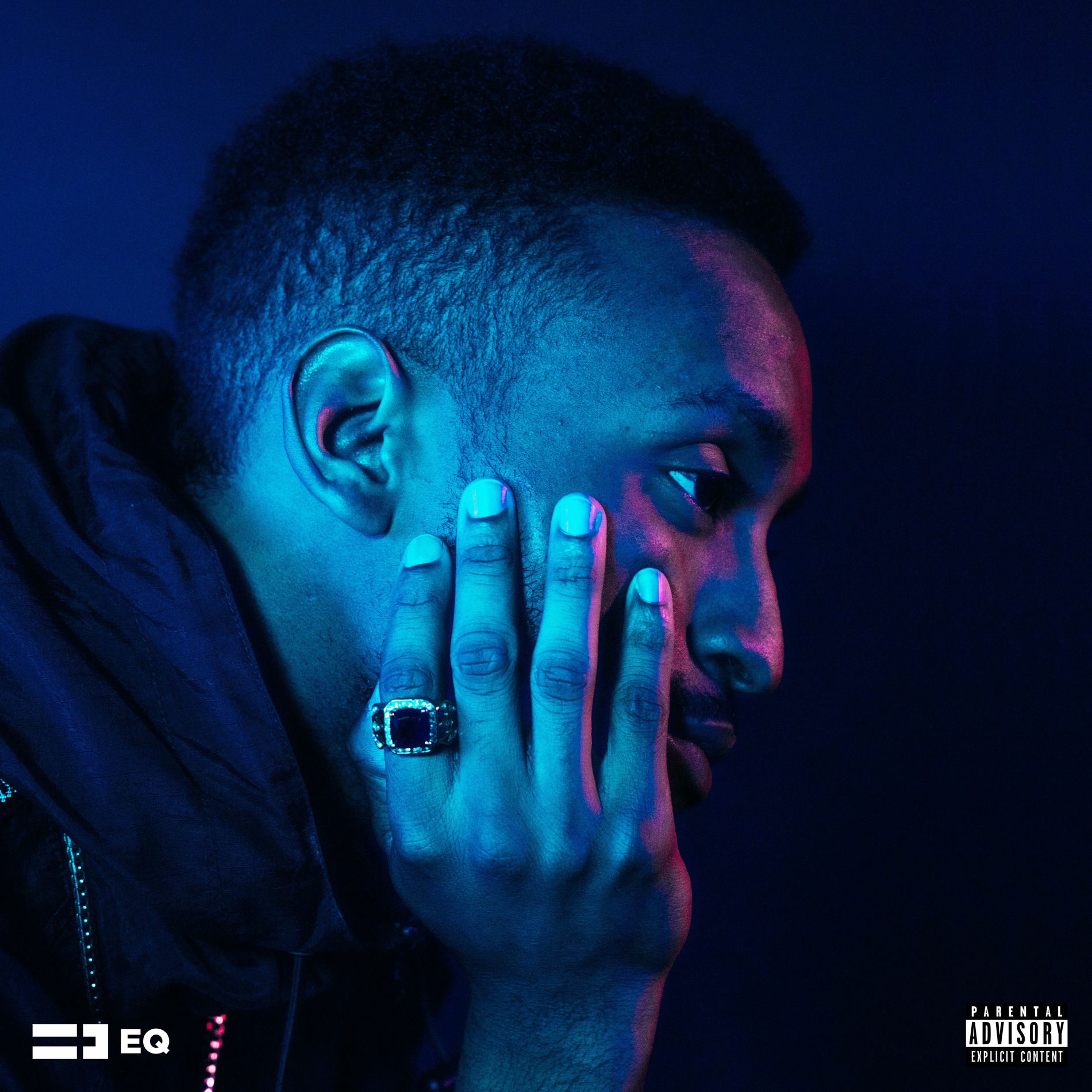 Album cover of The Album In Blue