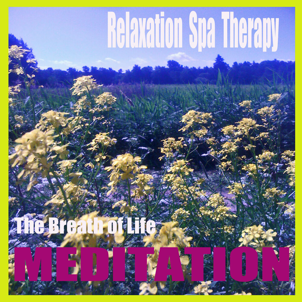 Picture of Meditation