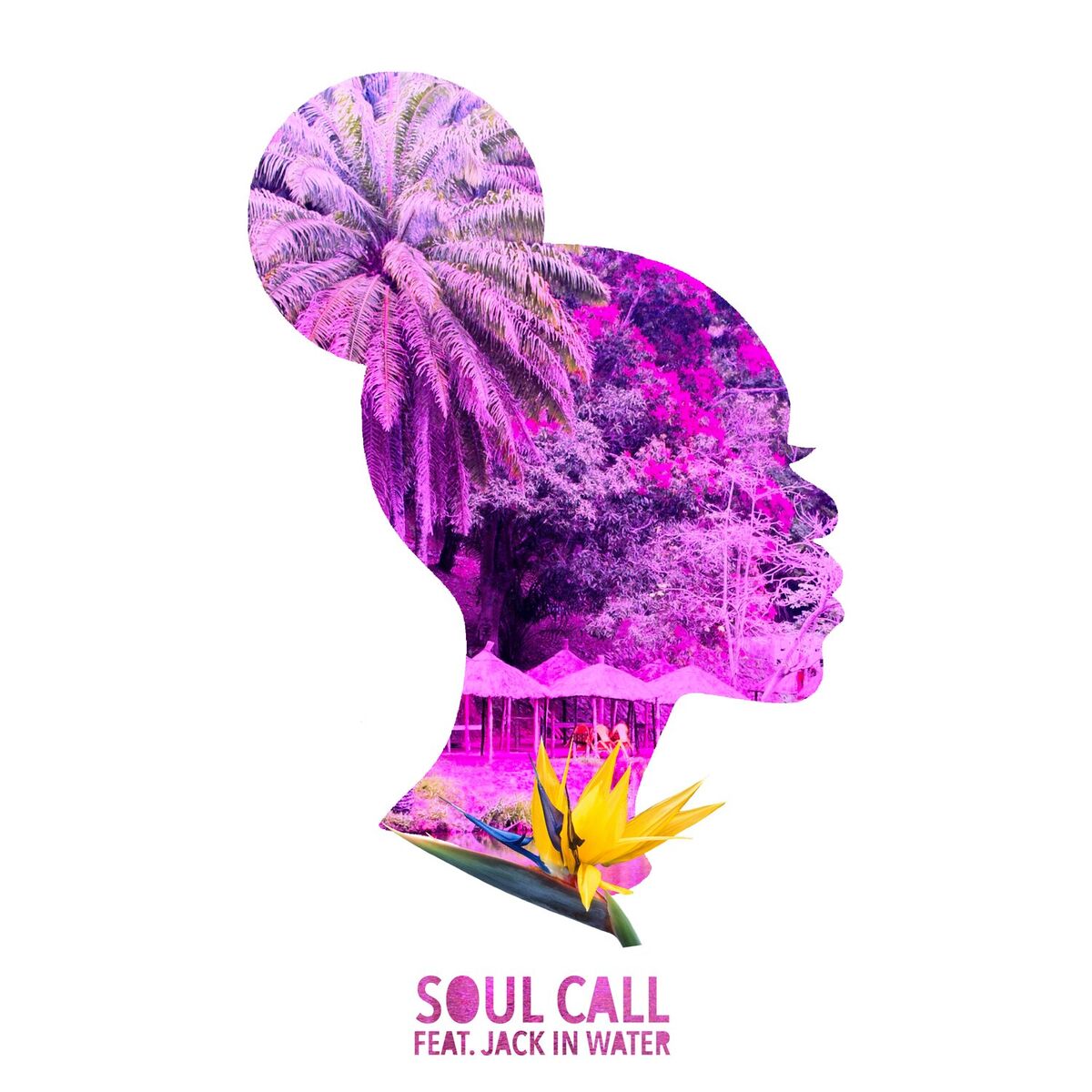 Album cover of Soul Call