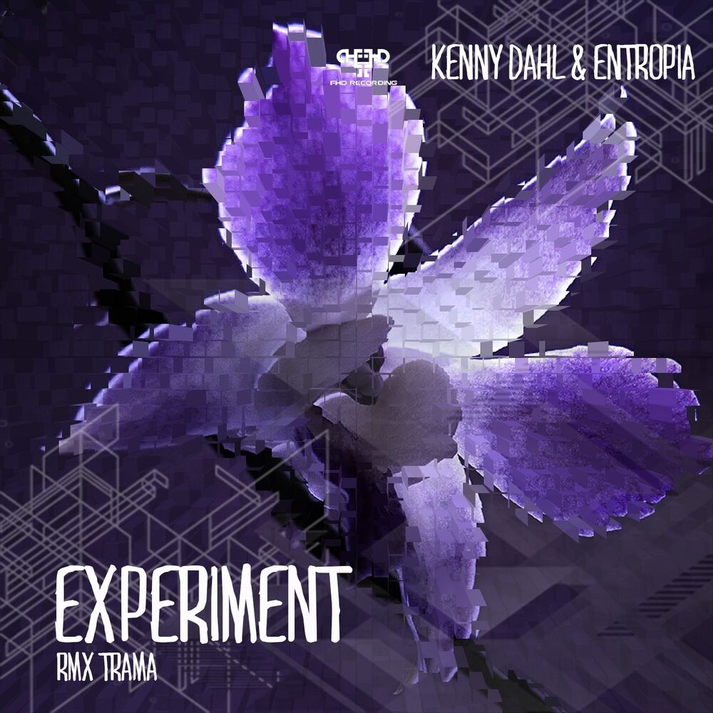 Picture of Experiment