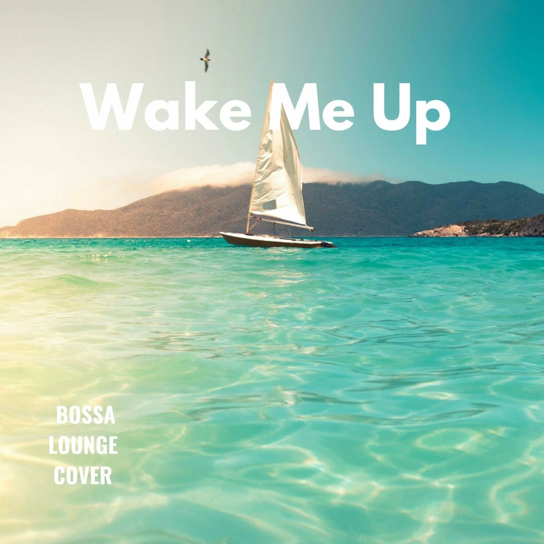 Album cover of Wake me Up