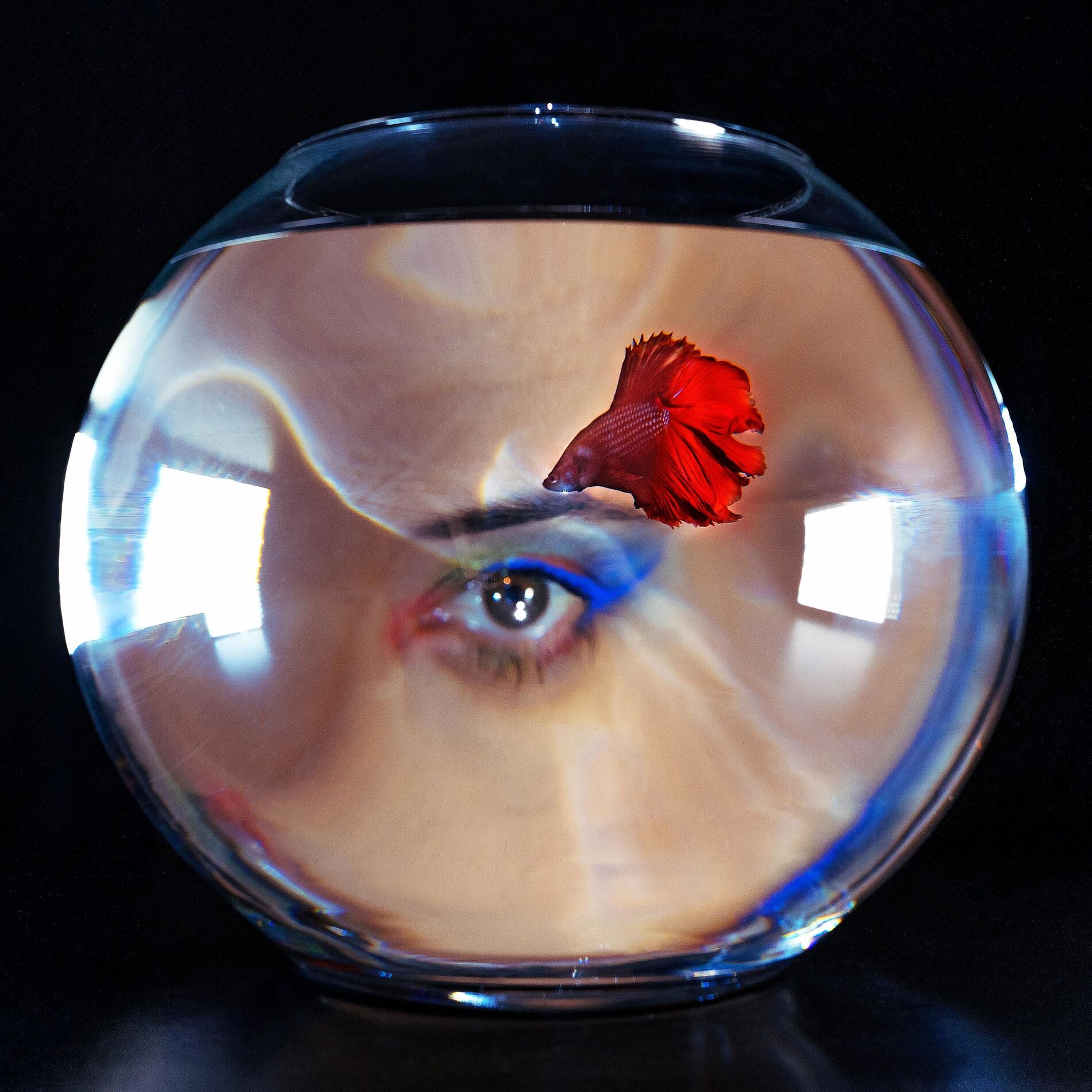 Album cover of Poisson