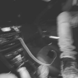 Cover of misunderstood