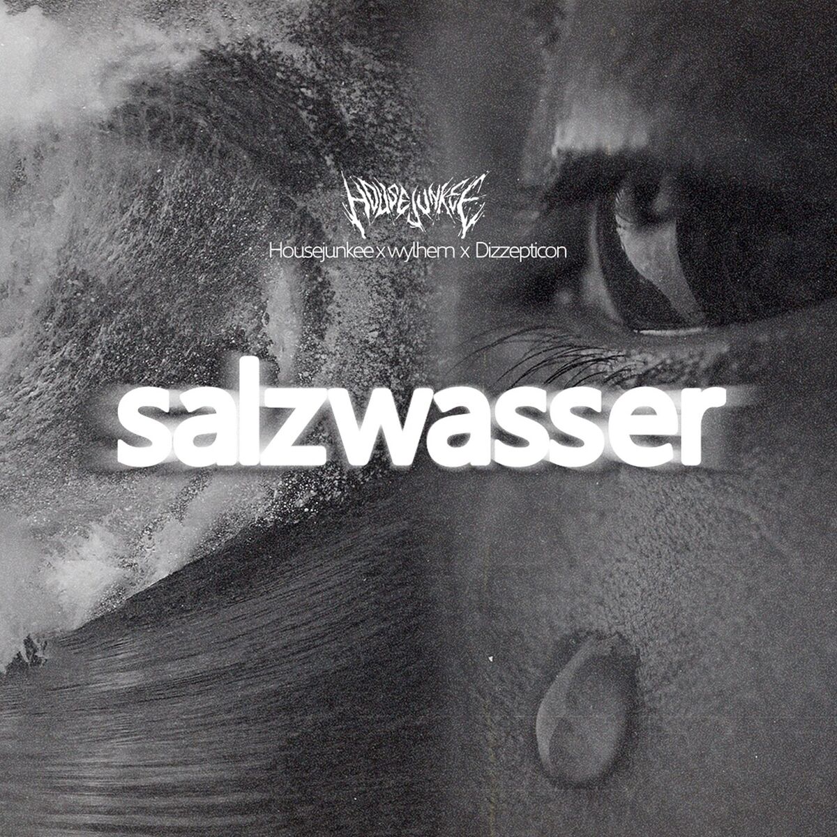 Album cover of Salzwasser