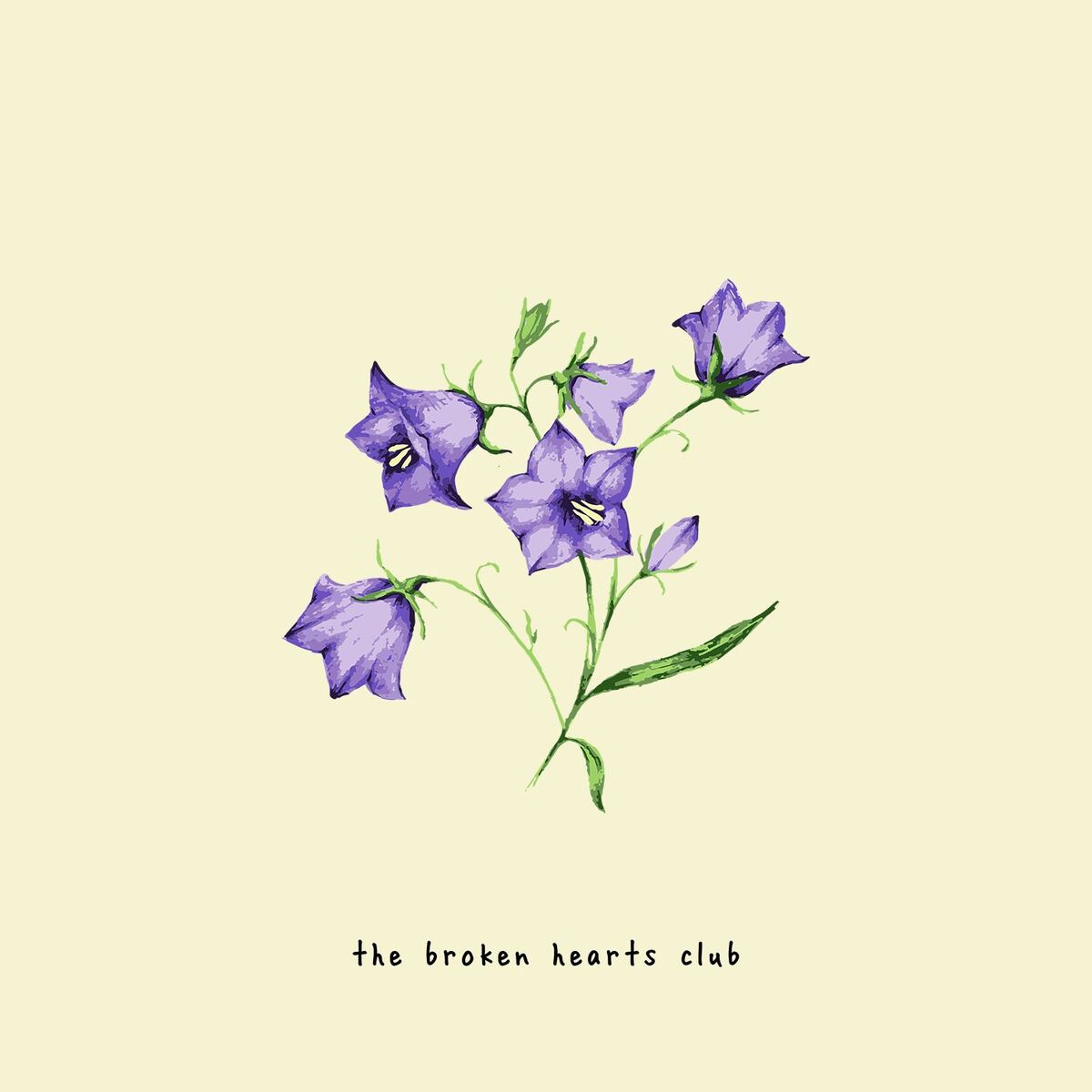 Album cover of the broken hearts club