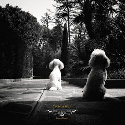 Cover of The Next Wait