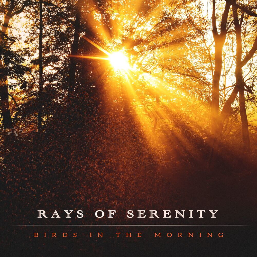 Picture of Rays of Serenity
