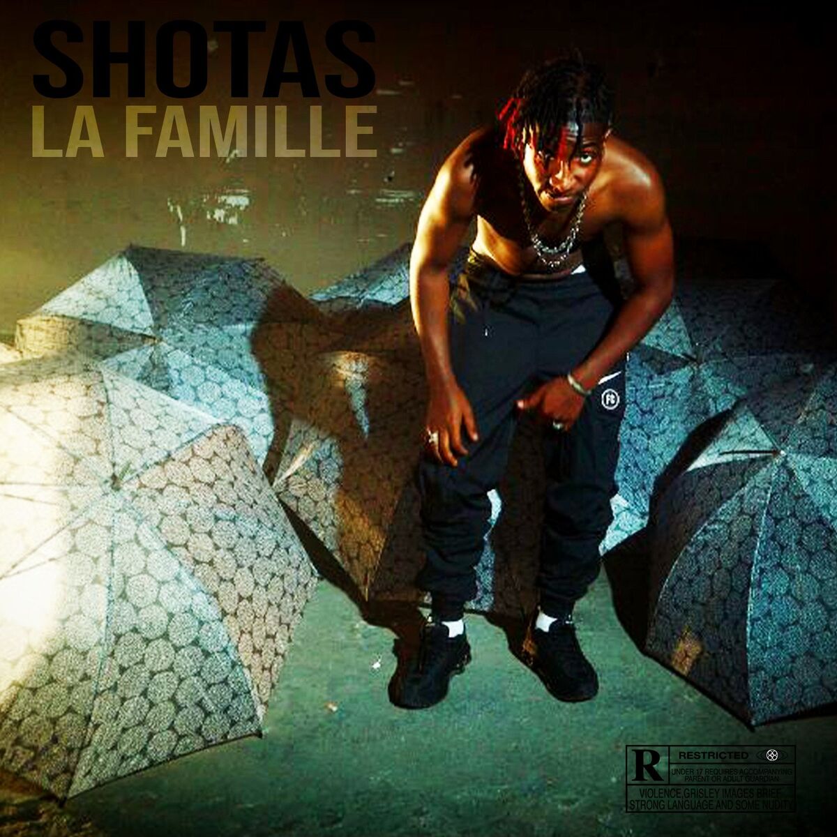 Album cover of La famille