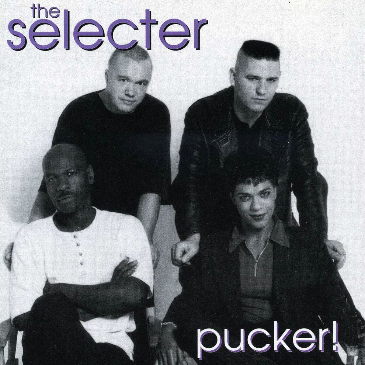 Album cover of Pucker