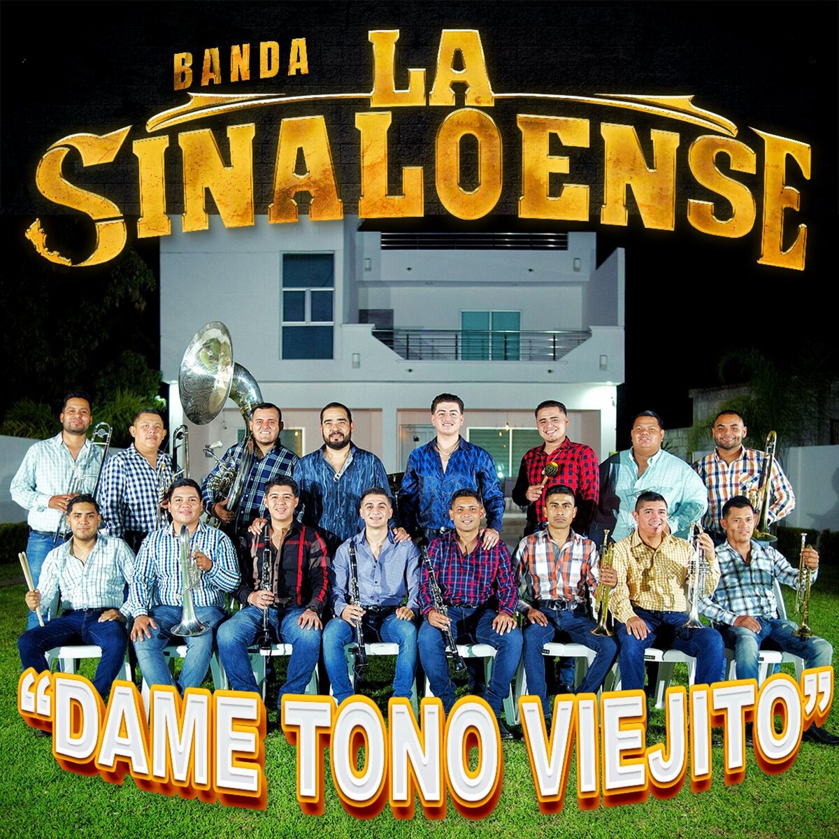 Album cover of DAME TONO VIEJITO (En Vivo)
