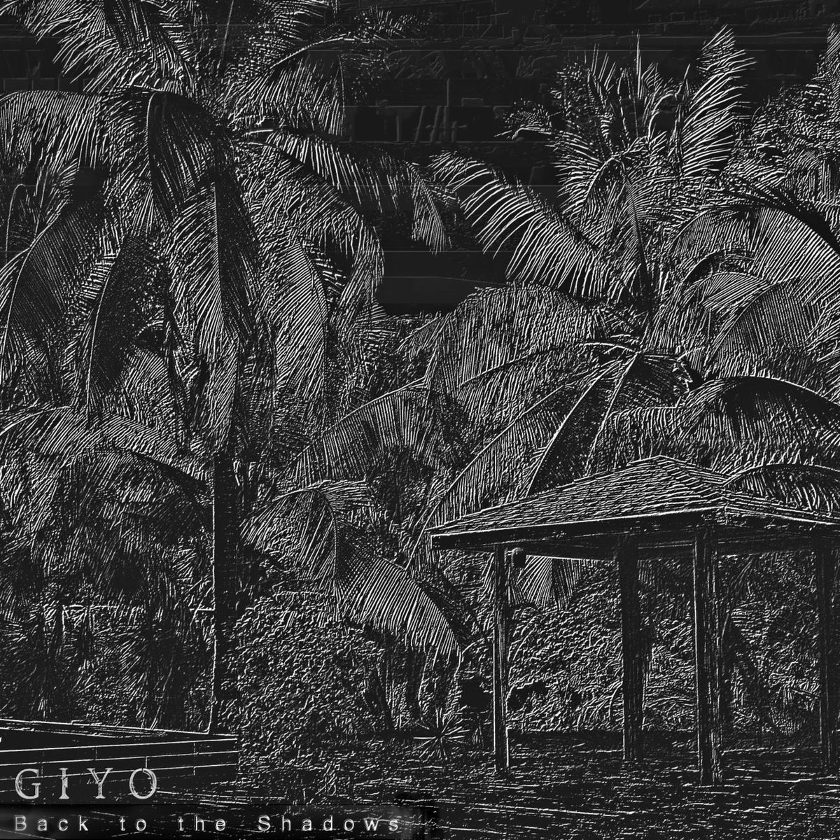 Album cover of Back to the Shadows