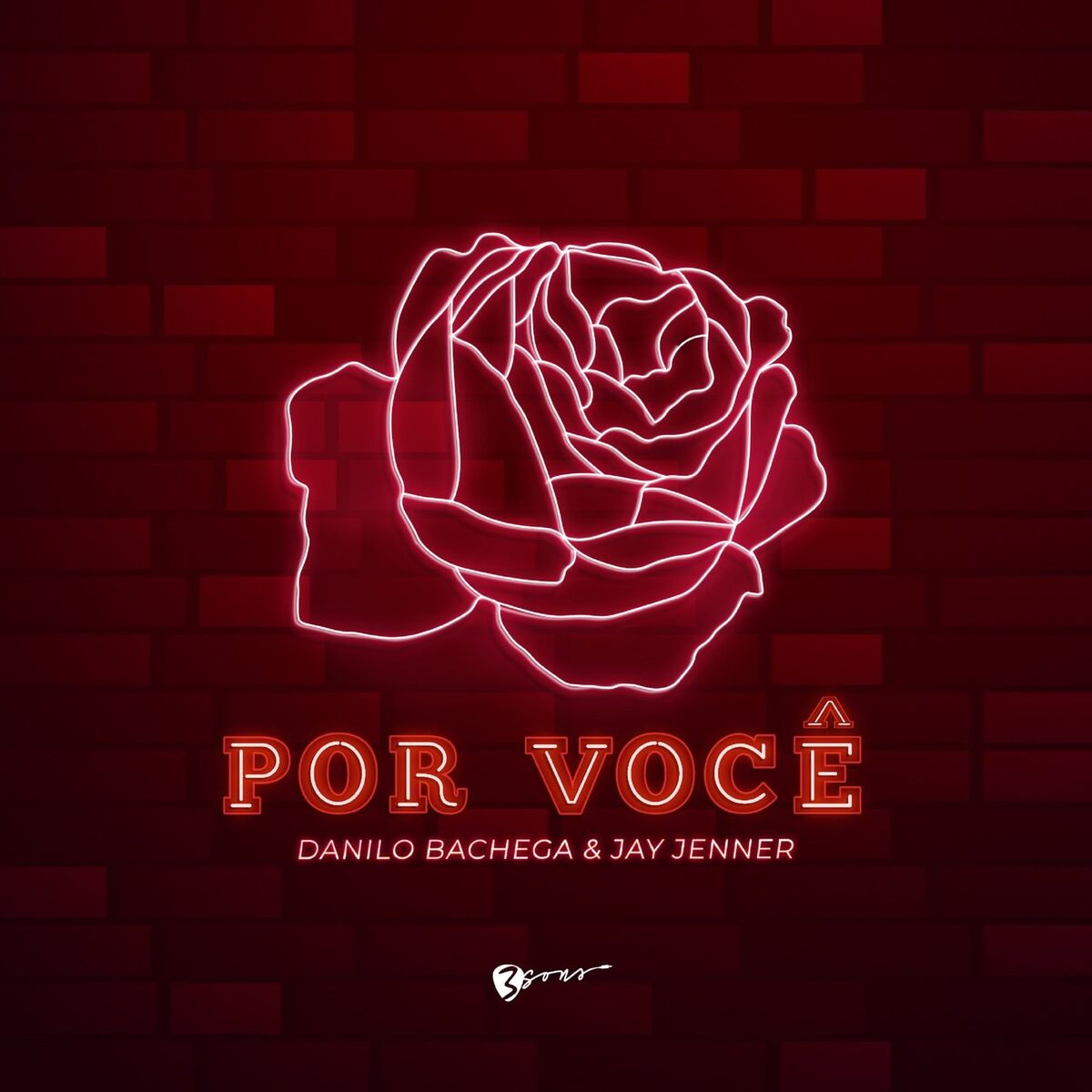 Album cover of Por Você