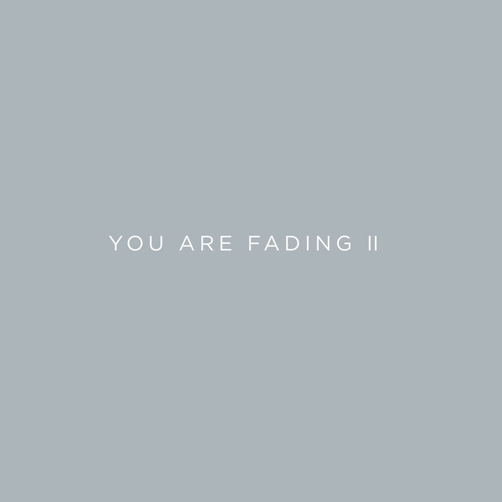 Picture of You Are Fading, Vol. 2 (Bonus Tracks 2005 - 2010)