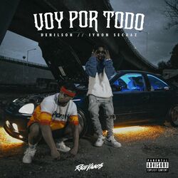 Cover of Voy por Todo