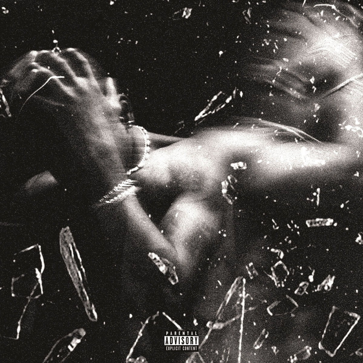 Album cover of Factice