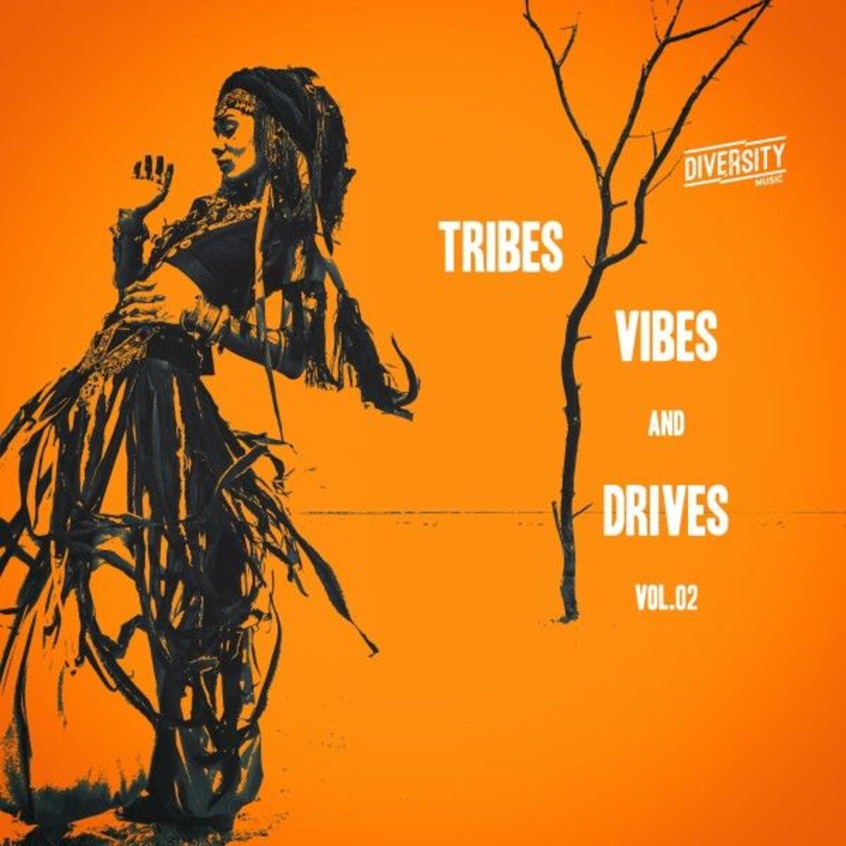 Album cover of Tribes, Vibes and Drives, Vol.02