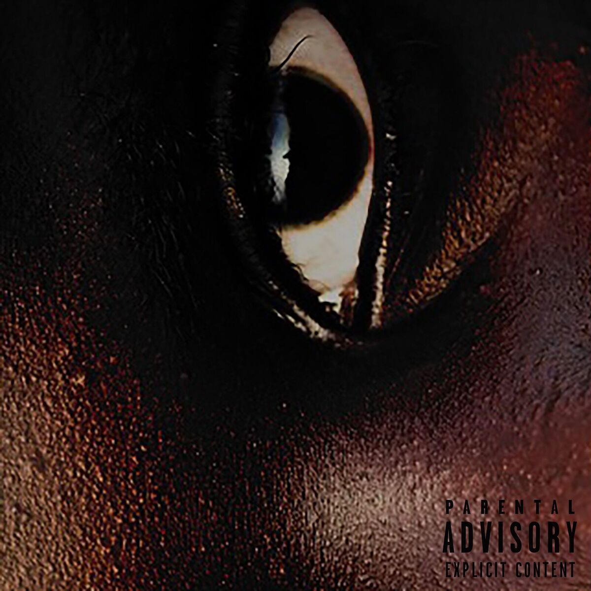 Album cover of Woke Up