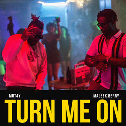 Cover of Turn Me On