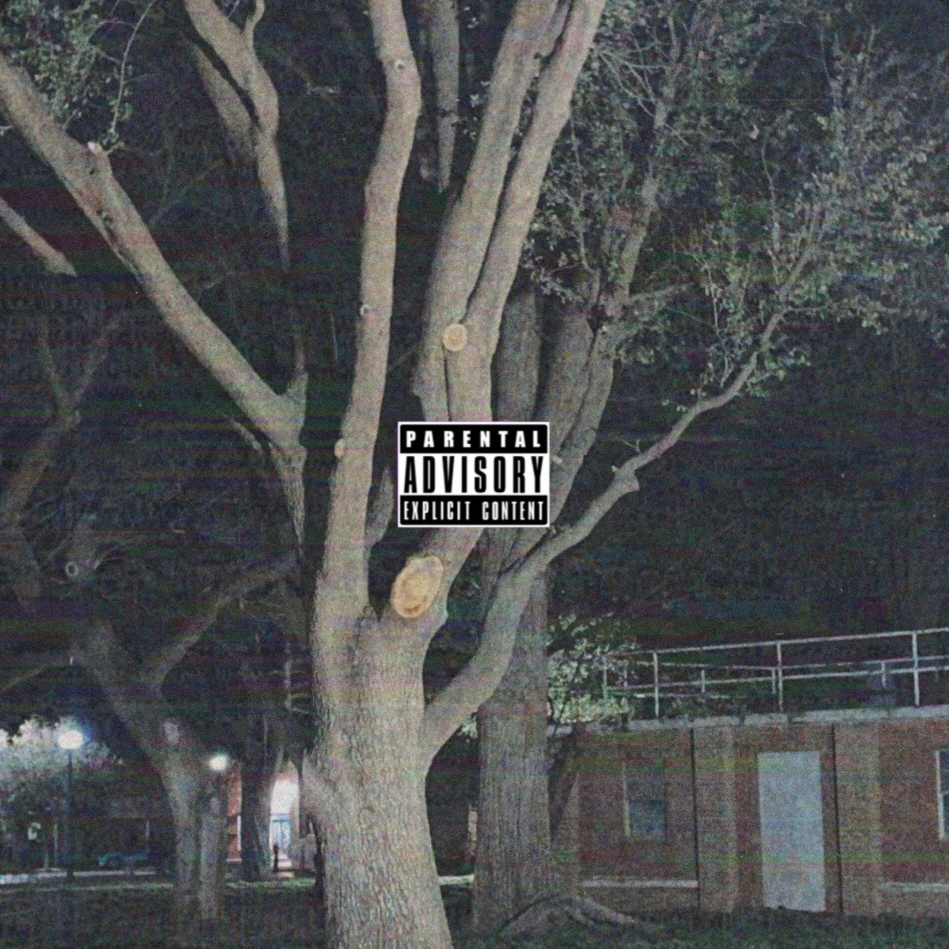 Album cover of Swim Level (Slowed + Reverb) (feat. APOC KRYSIS)