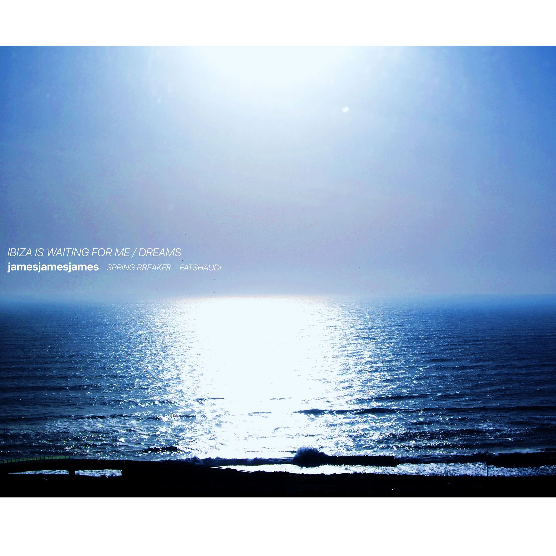 Album cover of ibiza is waiting for me
