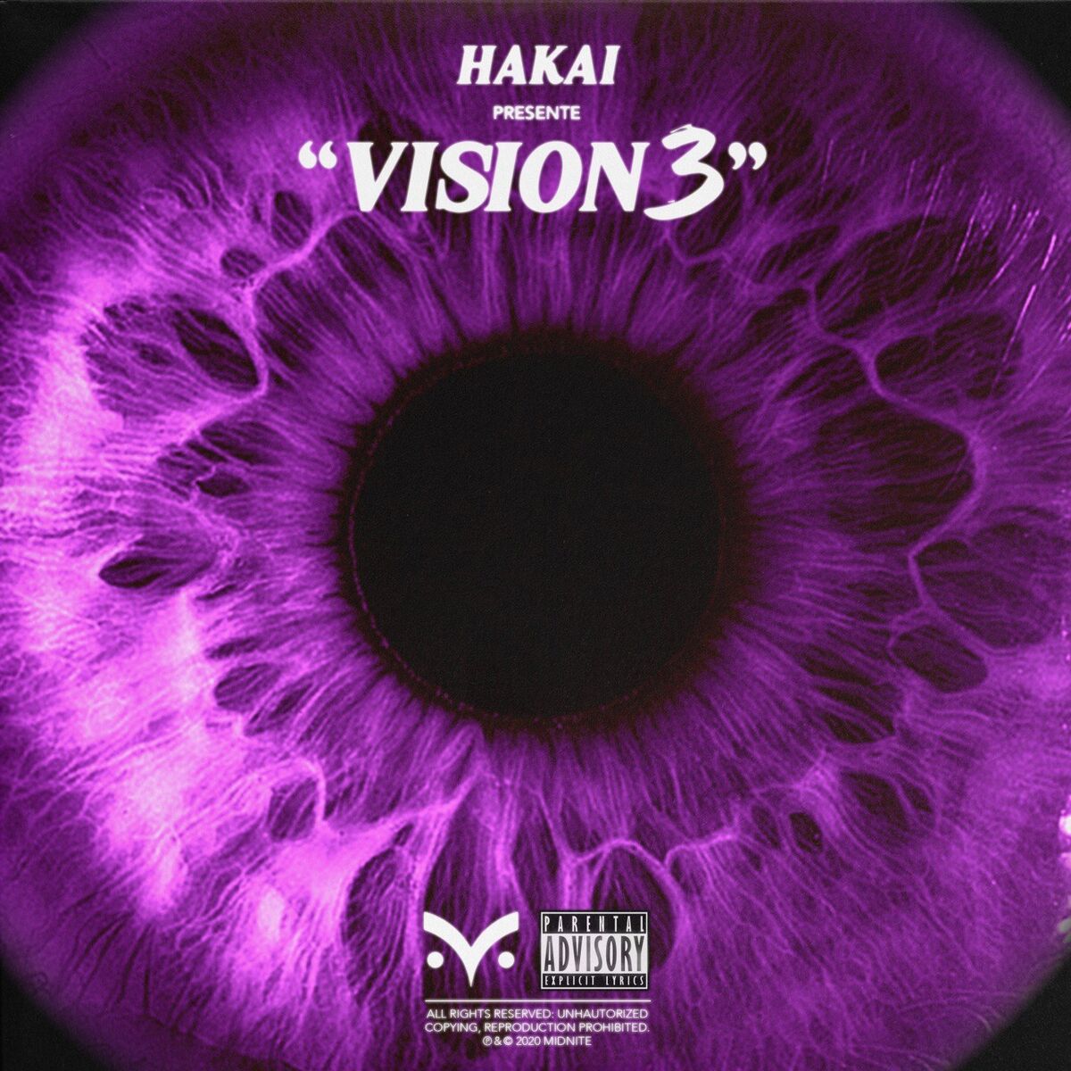 Album cover of Vision 3