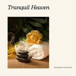 Cover of Tranquil Haven: Spa Music
