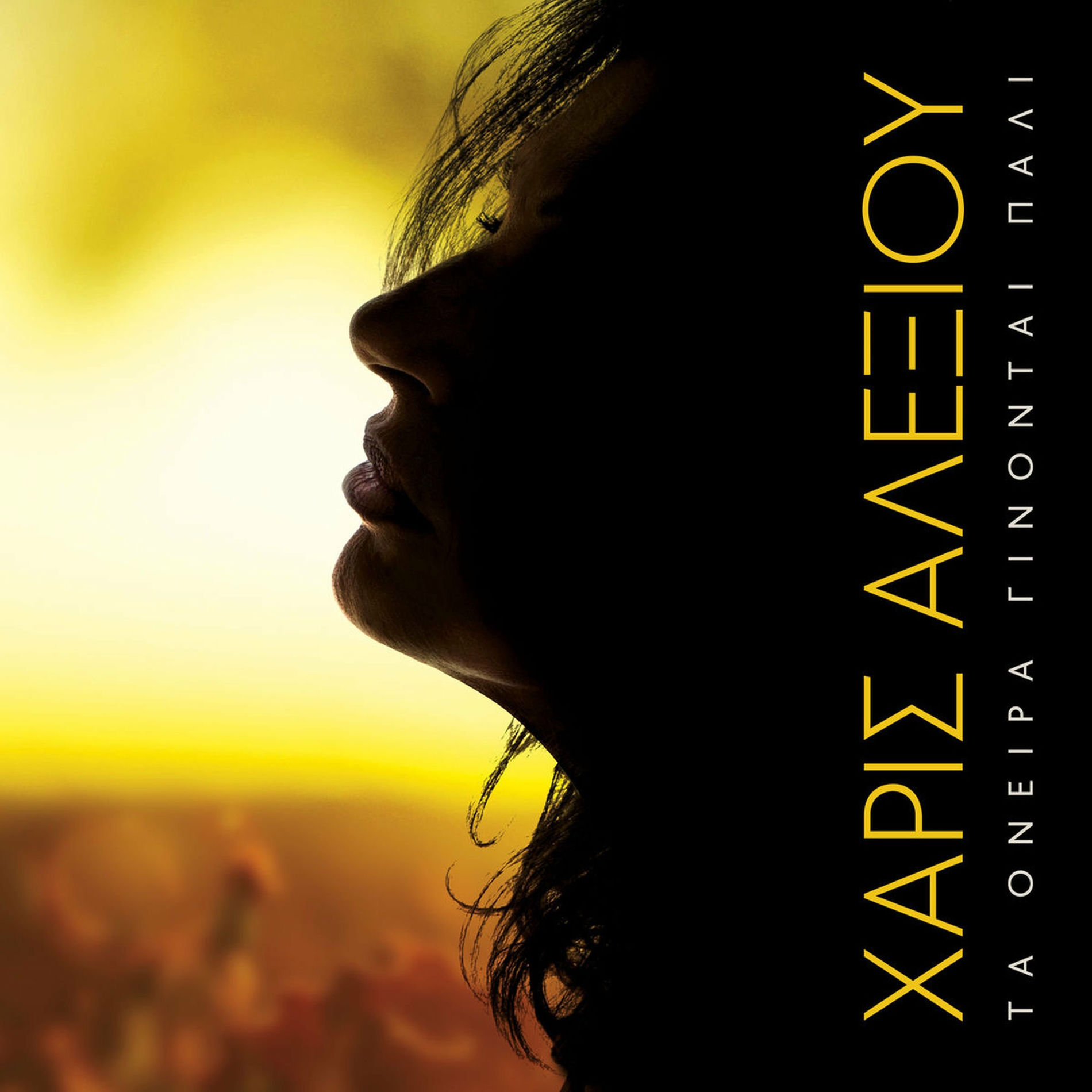 Album cover of Vges