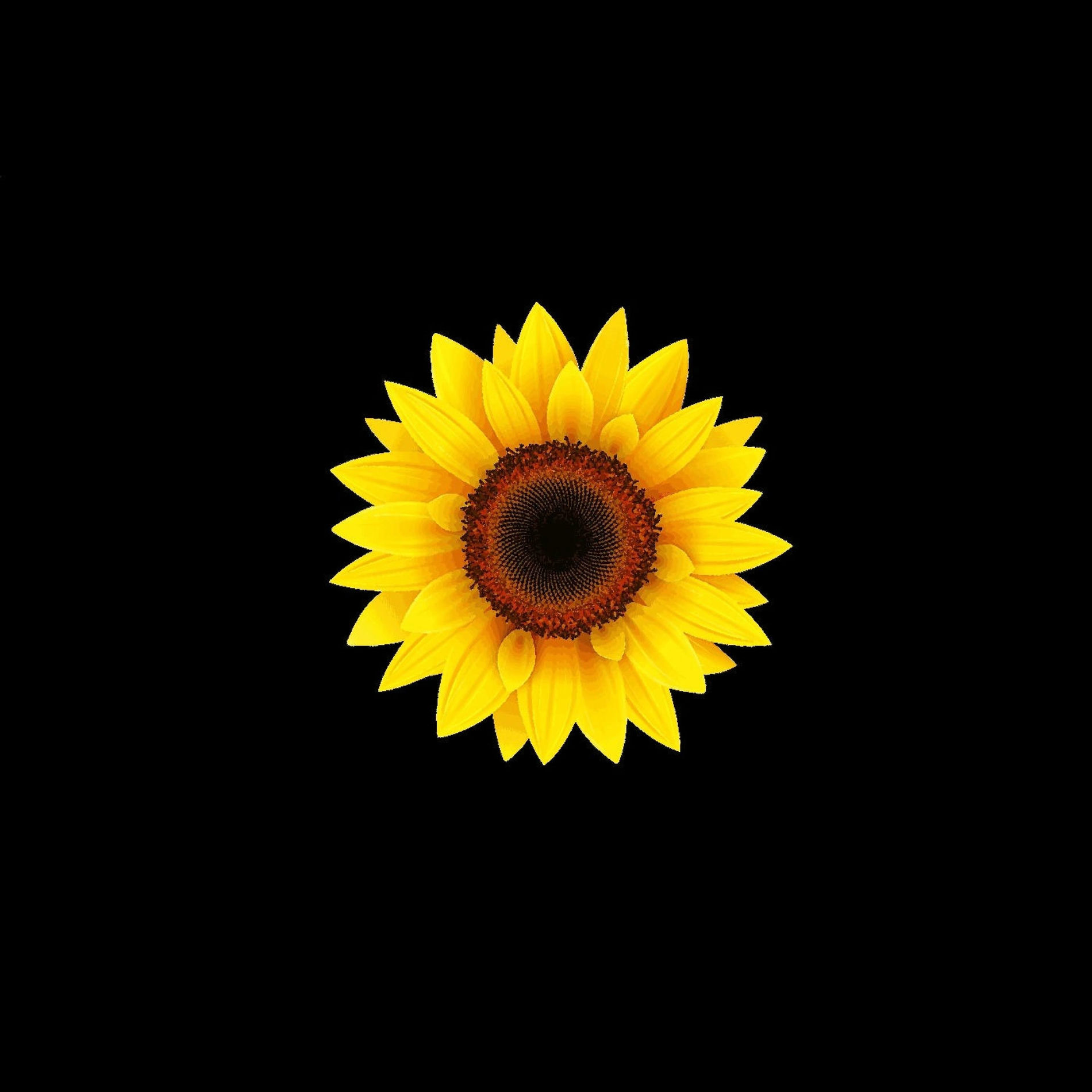 Album cover of Acid Summer 2022 (feat. Phat Otiz)