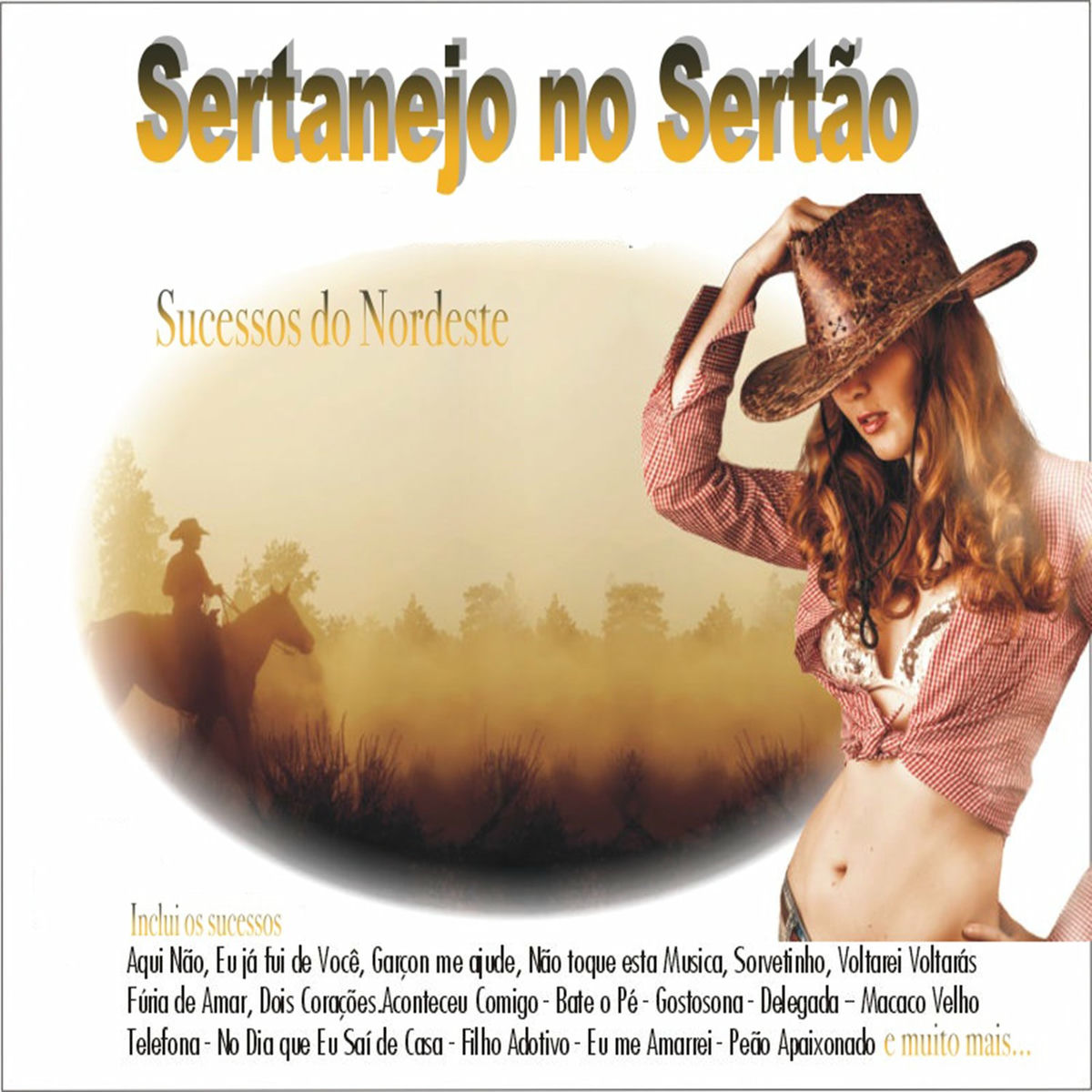 Album cover of Sertanejo No Sertão