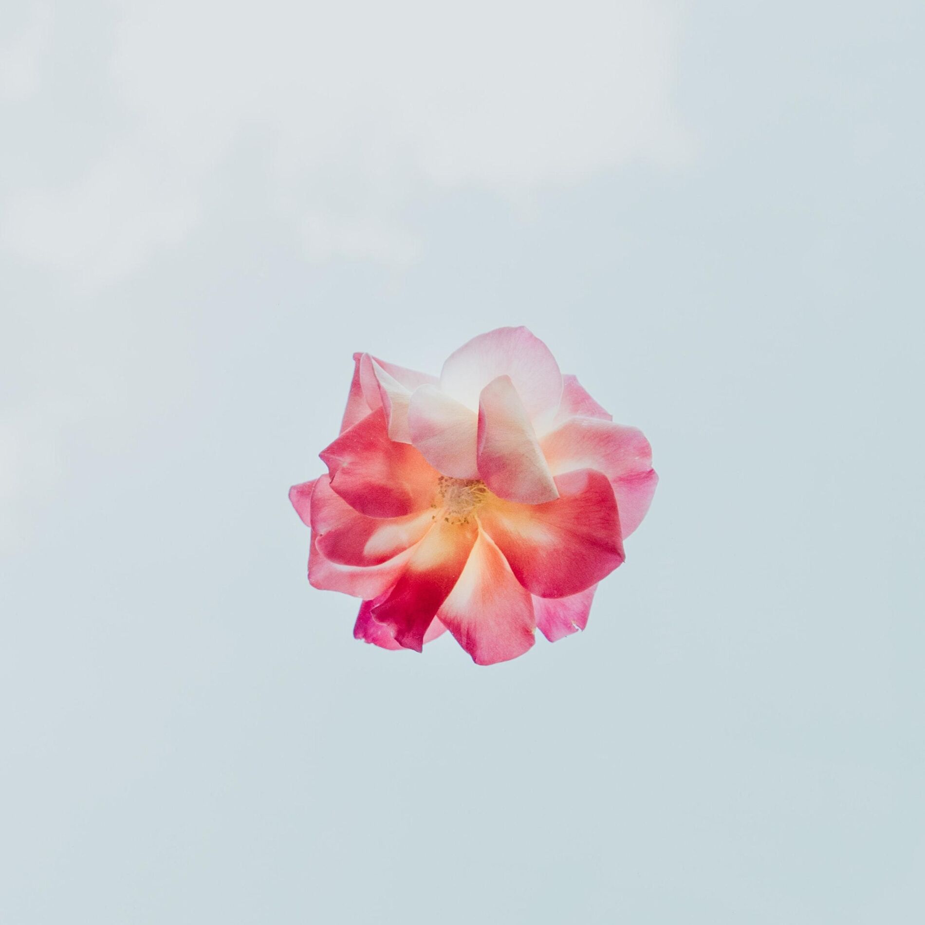 Album cover of Love Me