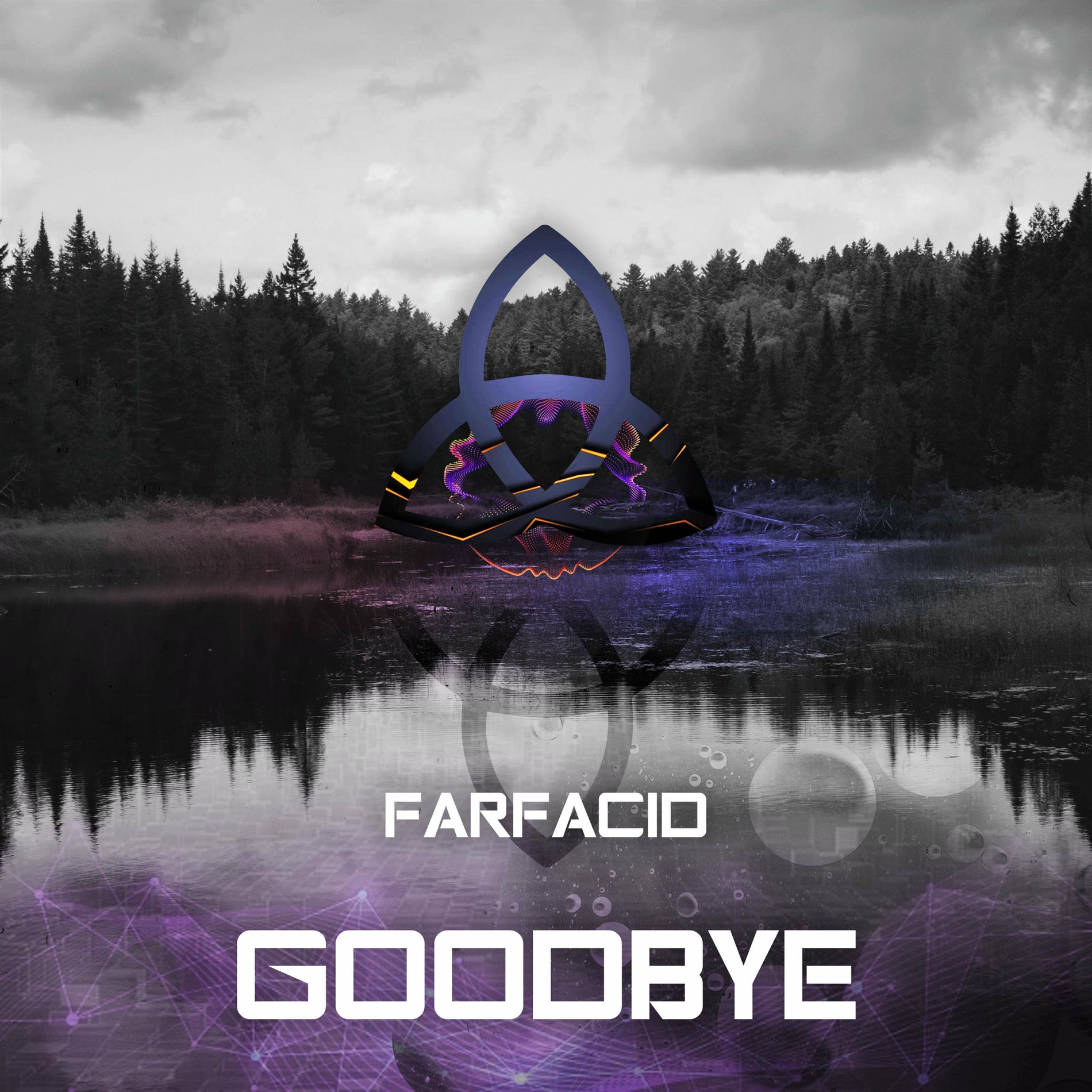 Album cover of Goodbye Apparat (Farfacid remix)