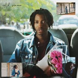Cover of cold summer