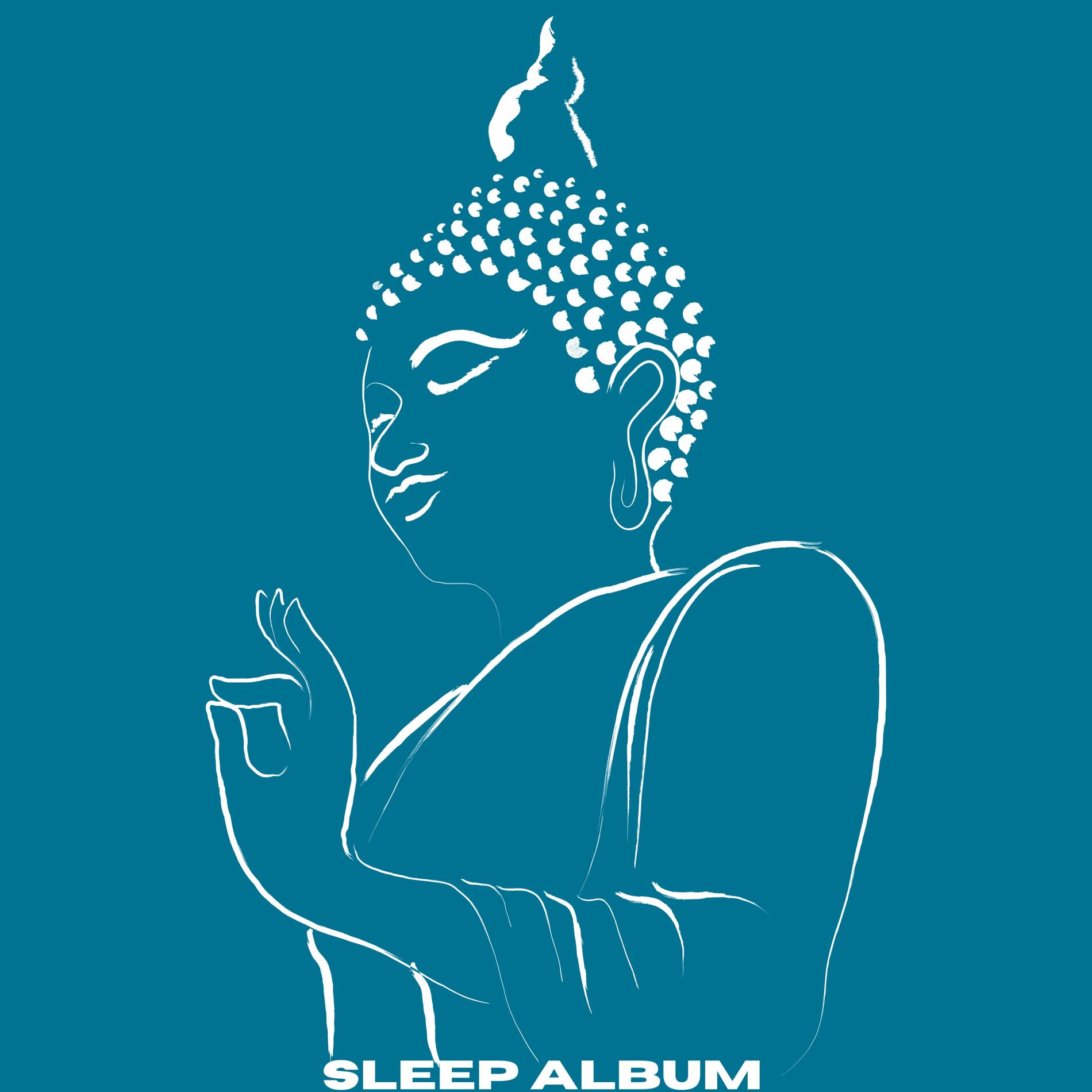 Album cover of Sleep Album