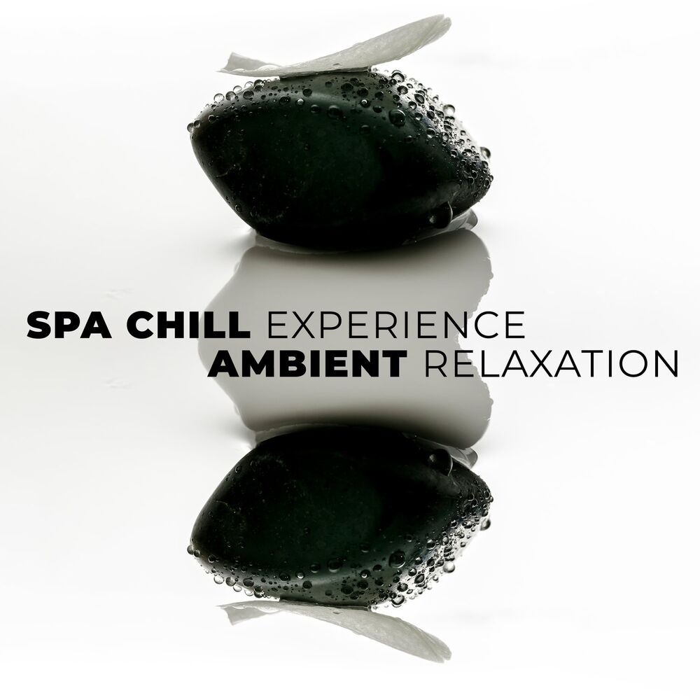 Picture of Spa Chill Experience - Ambient Relaxation, Tranquility Music Therapy for Massage, Wellness, Meditation