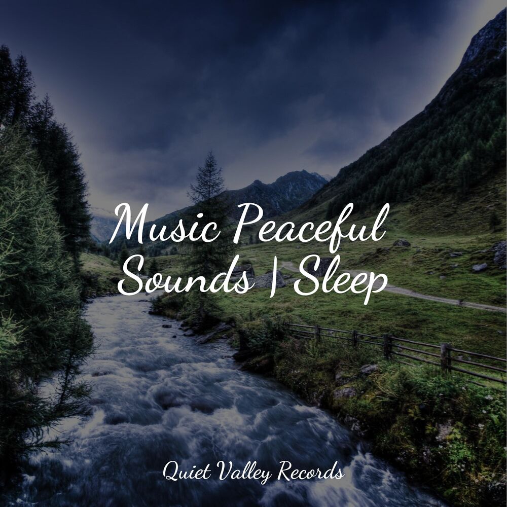 Picture of Music Peaceful Sounds | Sleep