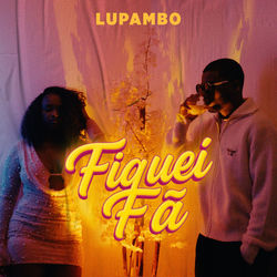 Fiquei F&atilde;