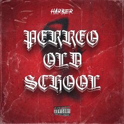 Cover of Perreooldschool
