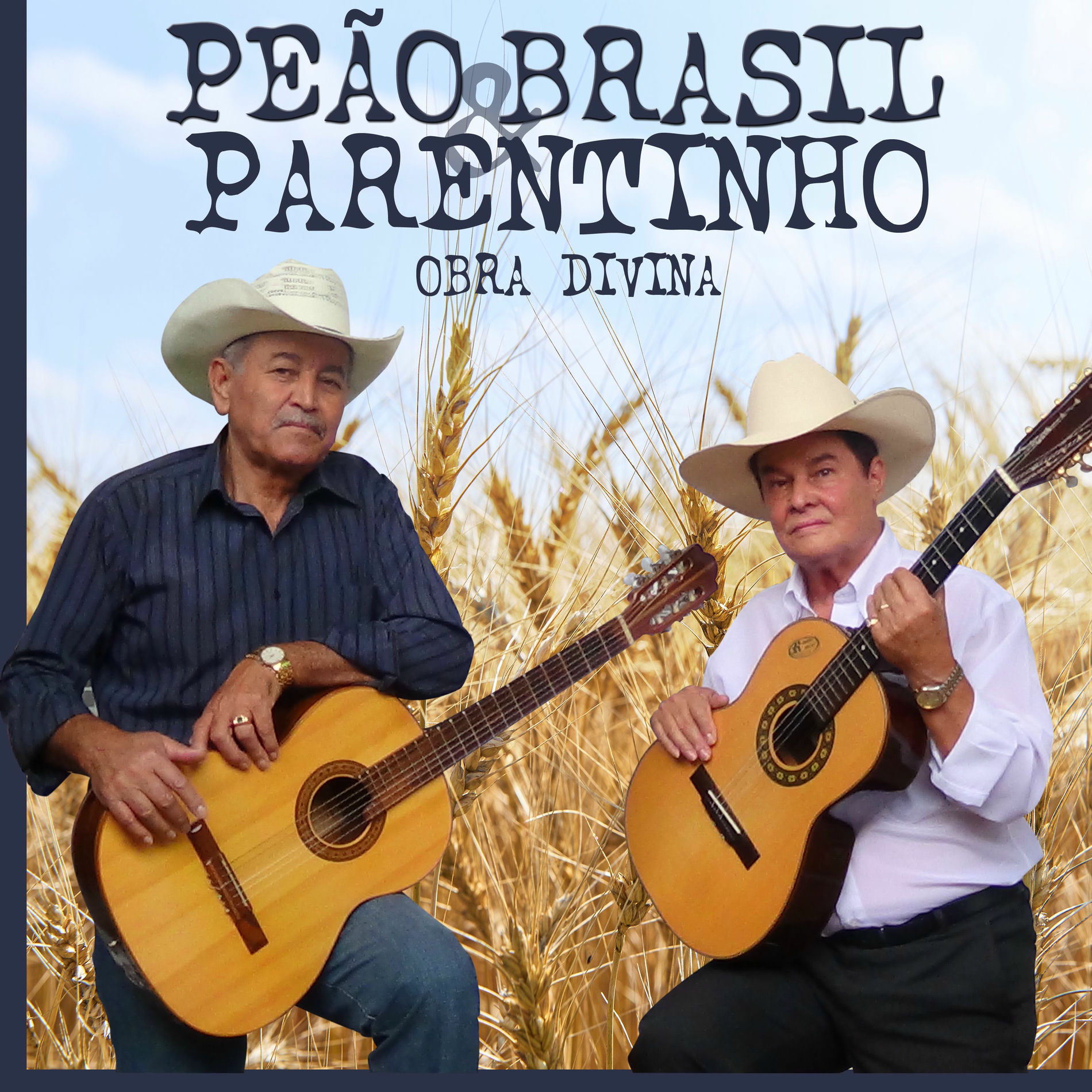 Album cover of Berrante da Saudade