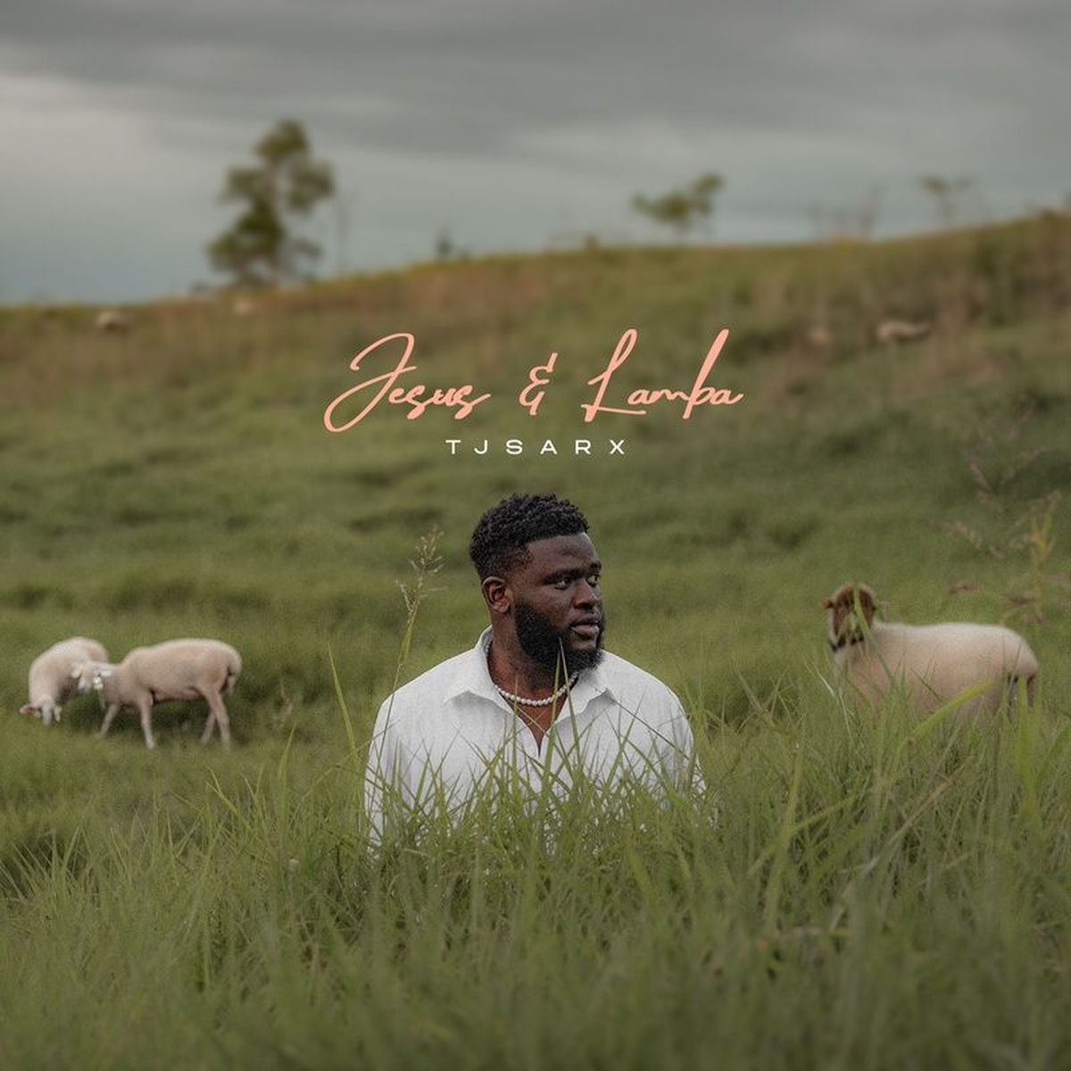 Album cover of Jesus & Lamba