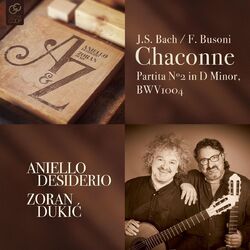 Cover of Partita No. 2 in D Minor, BWV 1004: V. Chaconne (Arr. by Ulrich Strake)