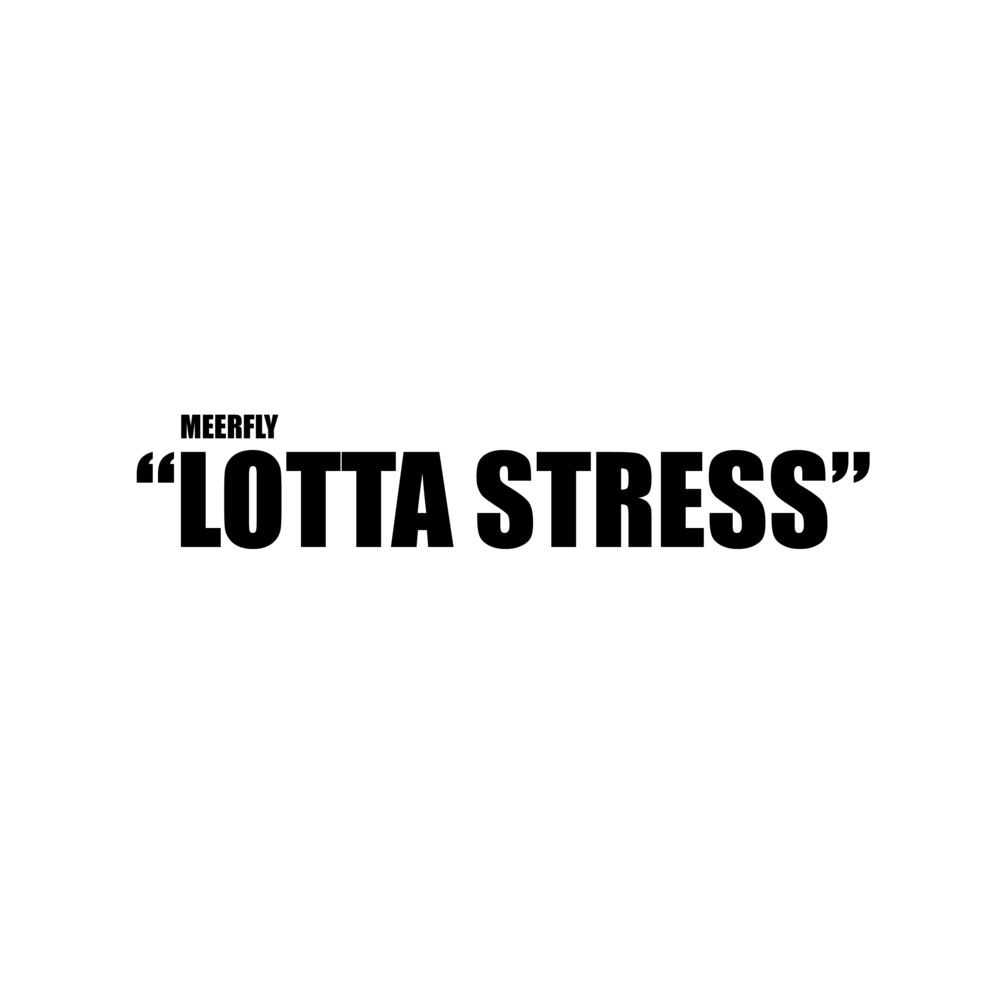 Picture of Lotta Stress