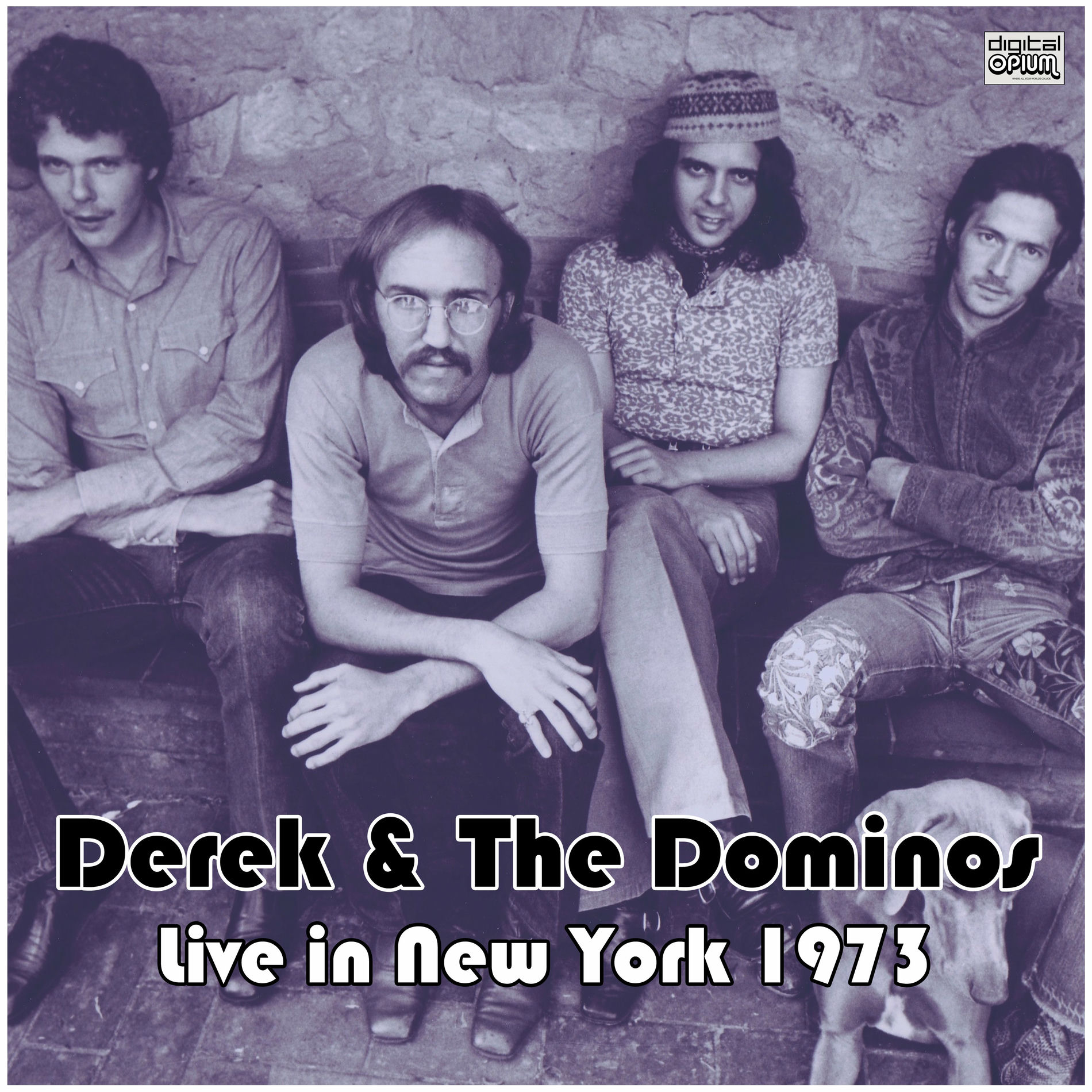 Album cover of Live in New York 1973 (Live)
