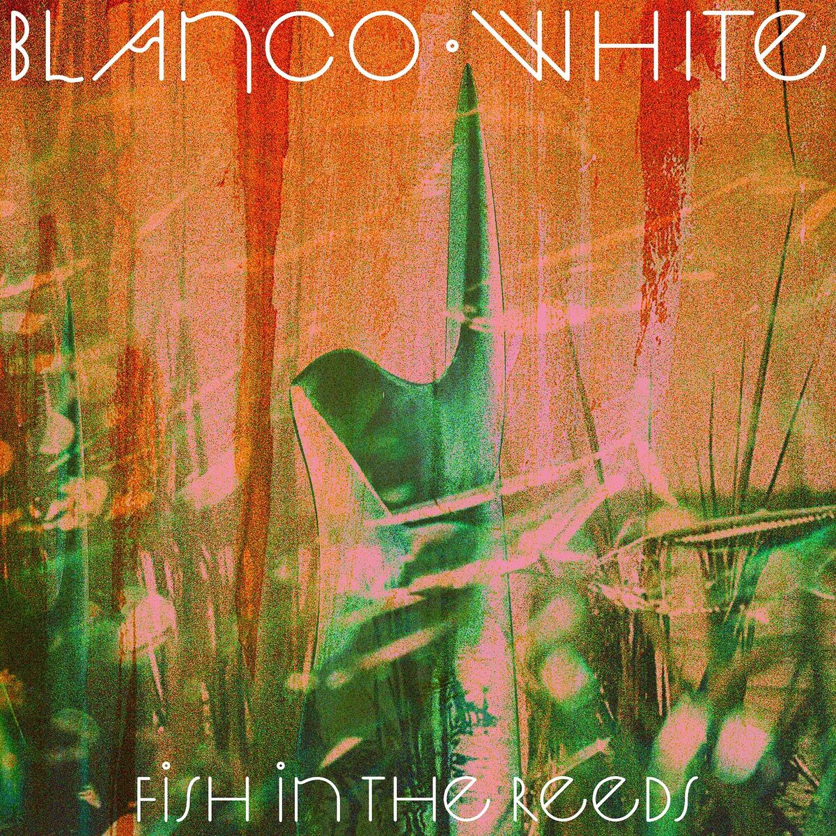 Album cover of Fish in the Reeds