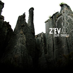 Cover of Sum Things