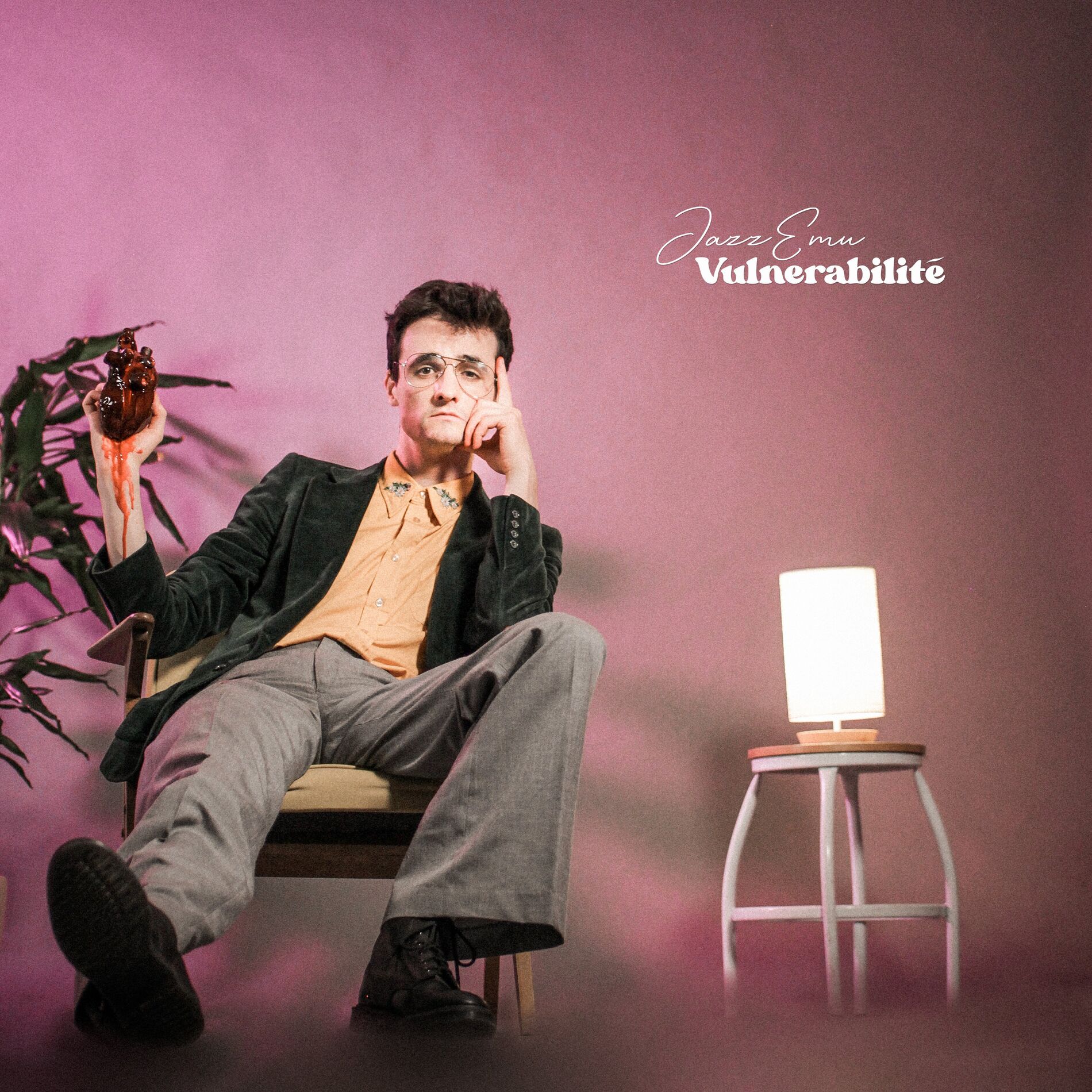 Album cover of Vulnerabilité