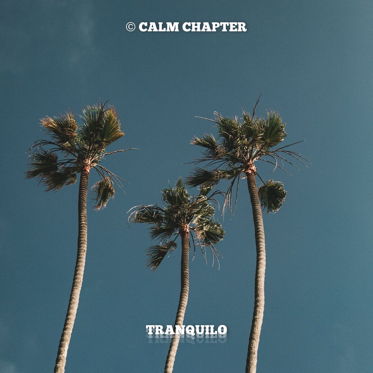 Album cover of Tranquilo