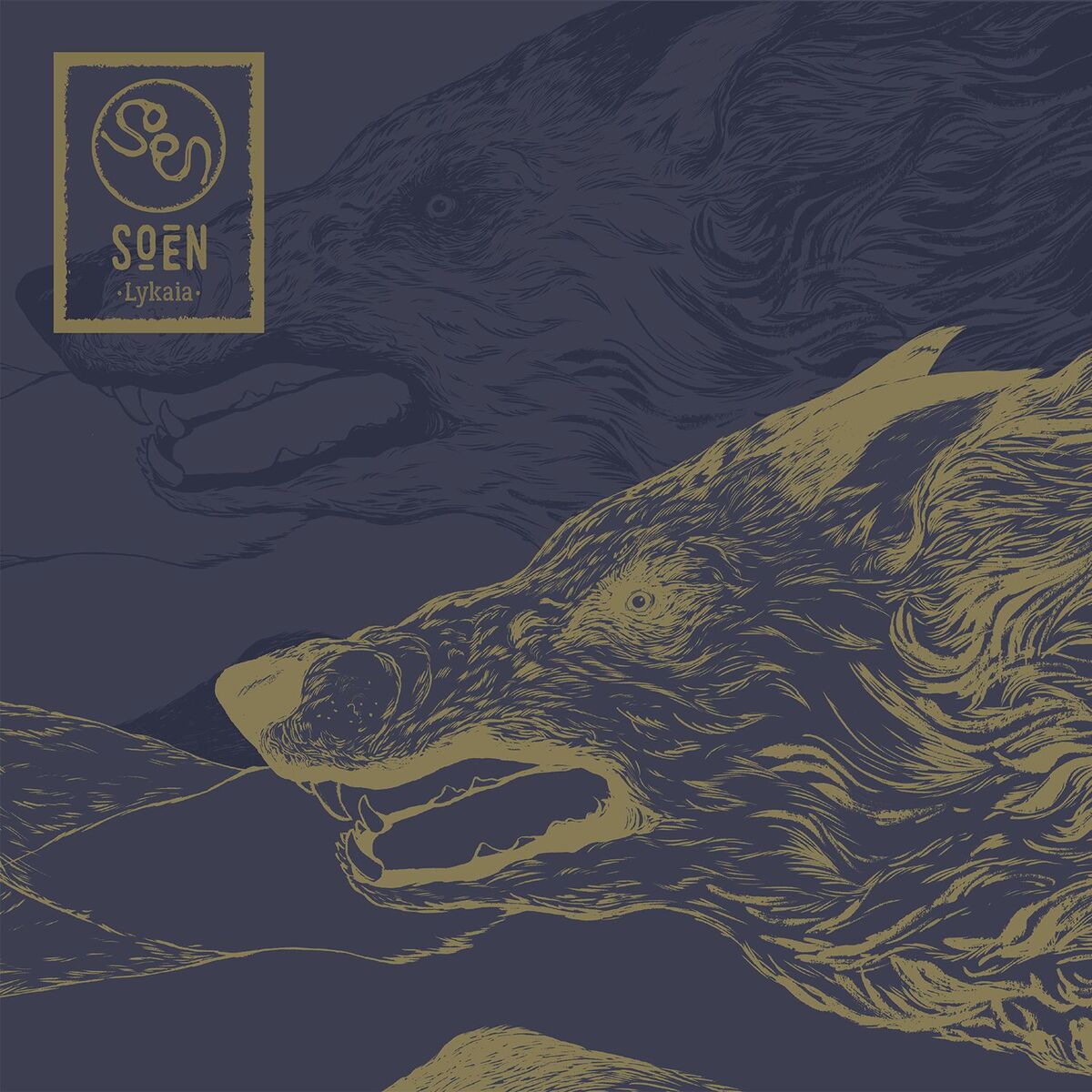 Album cover of Jinn