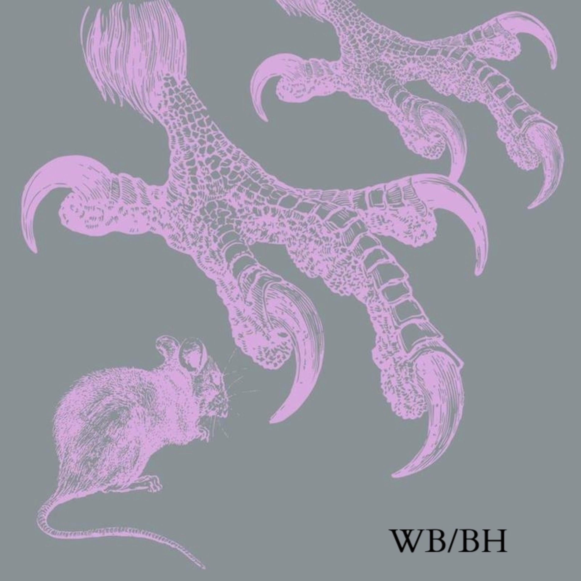 Album cover of Brave Hours