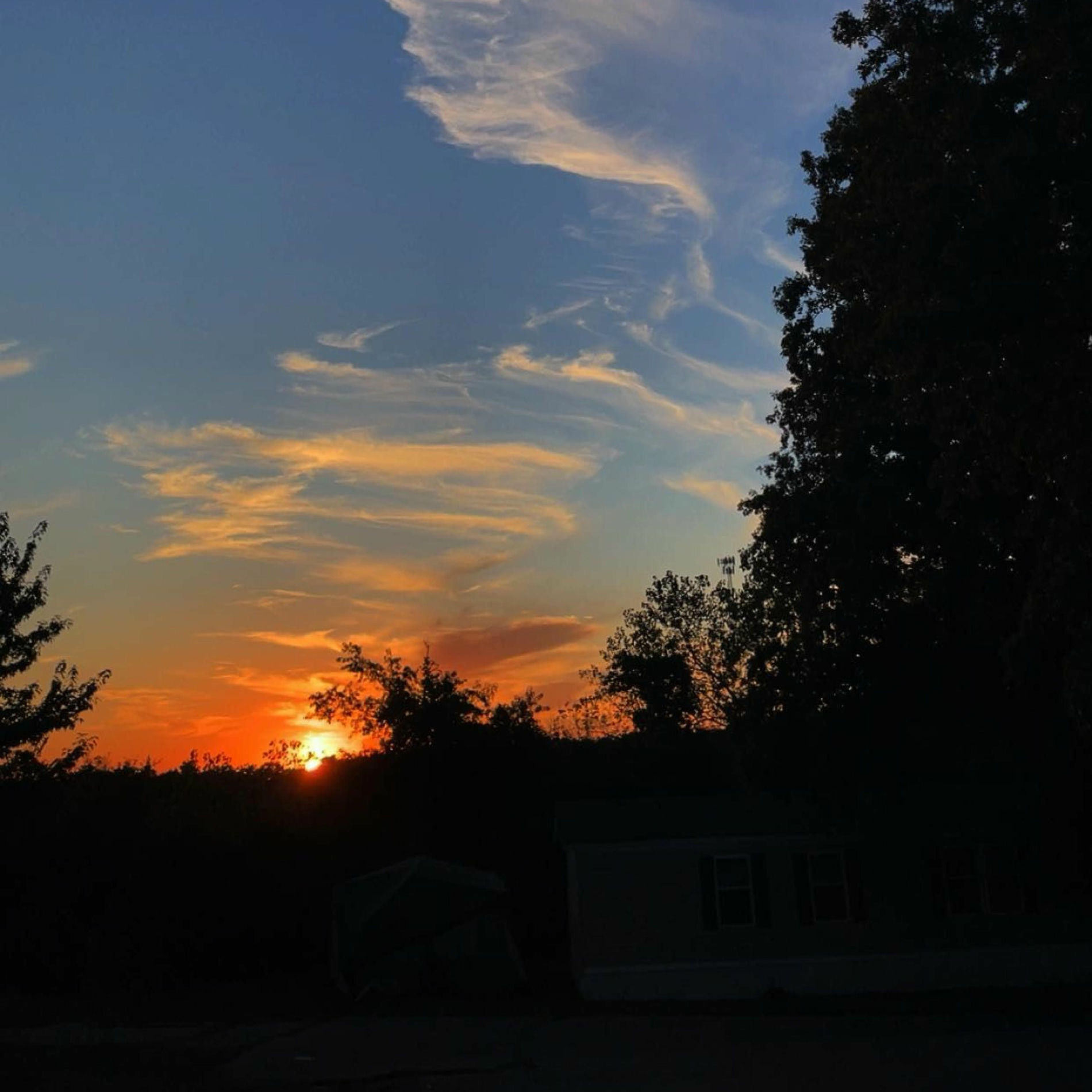 Album cover of what we trying to prove? (feat. J.E.M. & Sorrow)