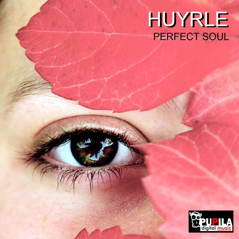 Picture of Perfect Soul